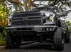 BODY ARMOR 4X4 FORD F-150 ECO SERIES FRONT BUMPER 2015-2017