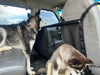 Overland Gear Guy Econoline Van Mesh Dog Barrier