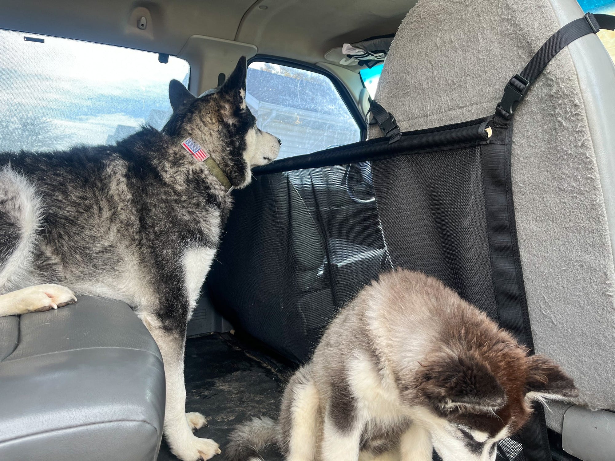 Overland Gear Guy Econoline Van Mesh Dog Barrier